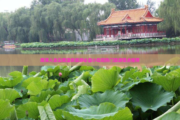 鹰潭人去云南温泉旅游必尝小吃和热门旅游景点推荐