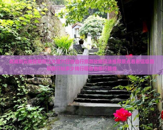 武威到云南昆明丽江大理六日自由行旅游攻略玩法推荐景点看看信息国际旅行社多少钱行程自由旅行路线