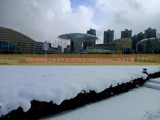 呼和浩特至云南西双版纳经典旅游路虾探寻热门景点之旅