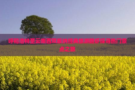呼和浩特至云南西双版纳经典旅游路虾探寻热门景点之旅