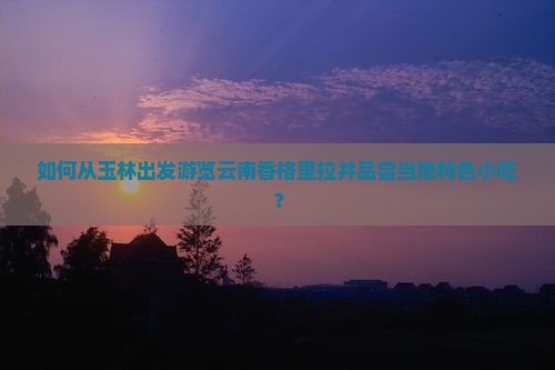 如何从玉林出发游览云南香格里拉并品尝当地特色小吃？