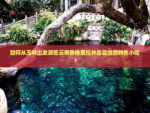 如何从玉林出发游览云南香格里拉并品尝当地特色小吃？