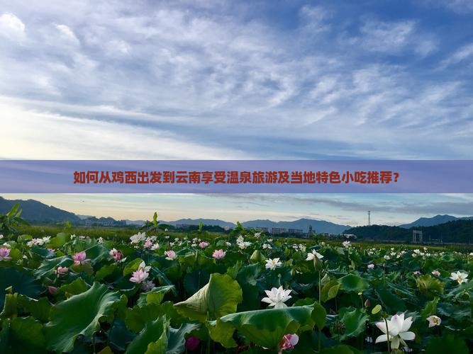如何从鸡西出发到云南享受温泉旅游及当地特色小吃推荐？