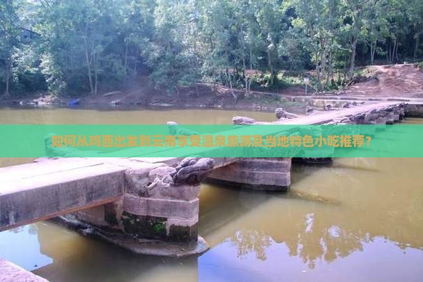 如何从鸡西出发到云南享受温泉旅游及当地特色小吃推荐？