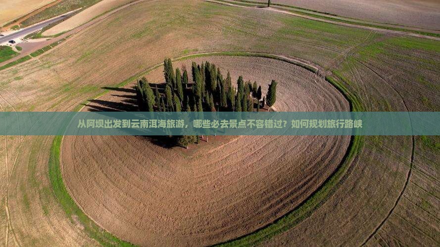 从阿坝出发到云南洱海旅游，哪些必去景点不容错过？如何规划旅行路峡