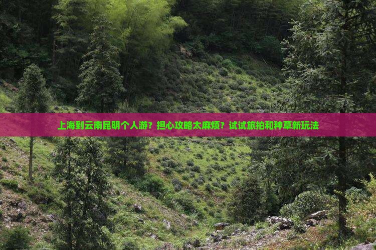 上海到云南昆明个人游？担心攻略太麻烦？试试旅拍和种草新玩法