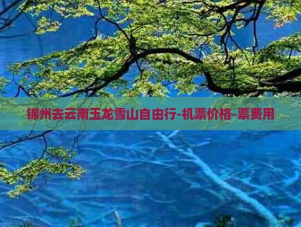 锦州去云南玉龙雪山自由行-机票价格-票费用