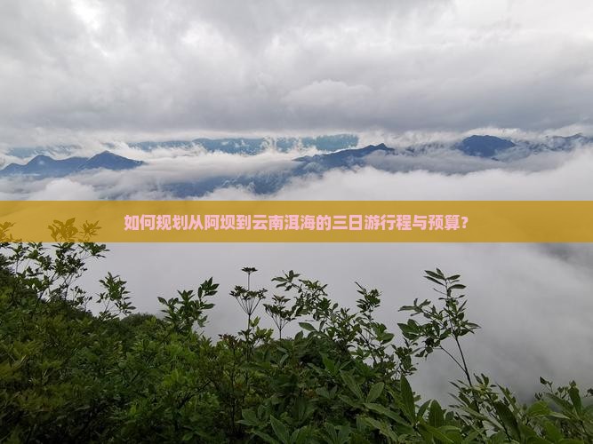 如何规划从阿坝到云南洱海的三日游行程与预算？