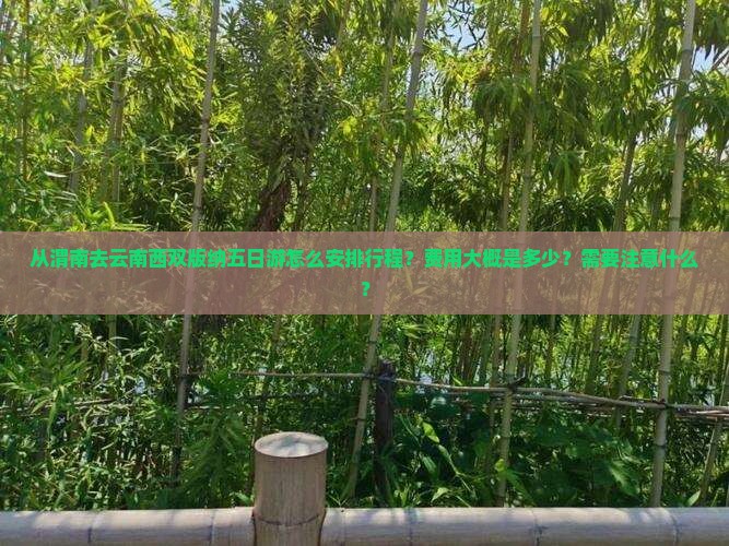 从渭南去云南西双版纳五日游怎么安排行程？费用大概是多少？需要注意什么？
