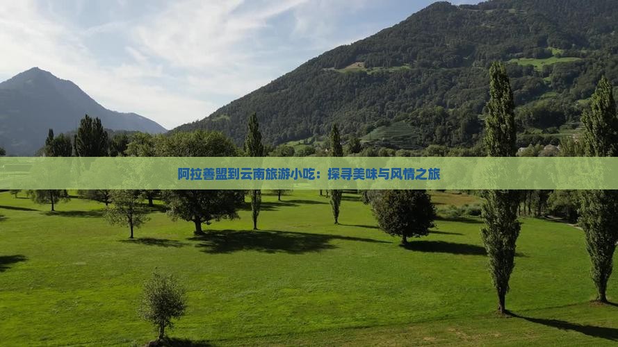 阿拉善盟到云南旅游小吃：探寻美味与风情之旅