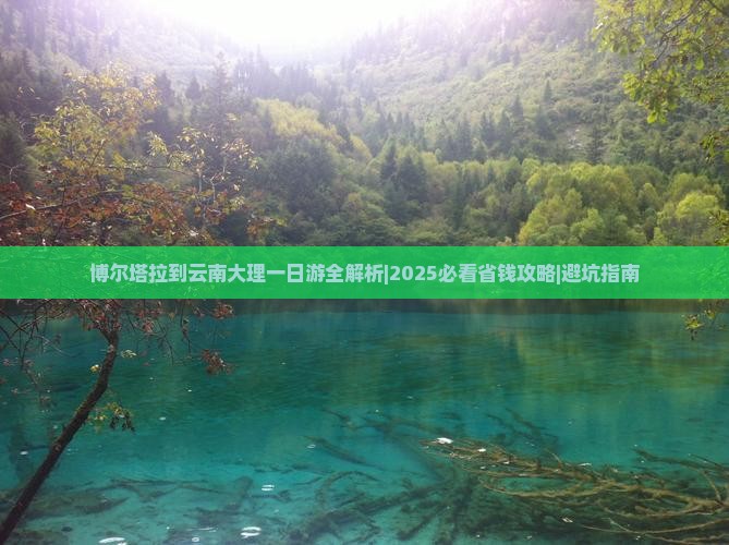 博尔塔拉到云南大理一日