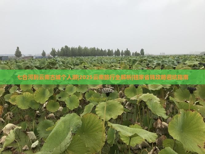 七台河到云南古城个人游