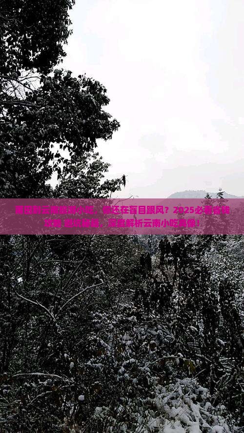 莆田到云南旅游小吃