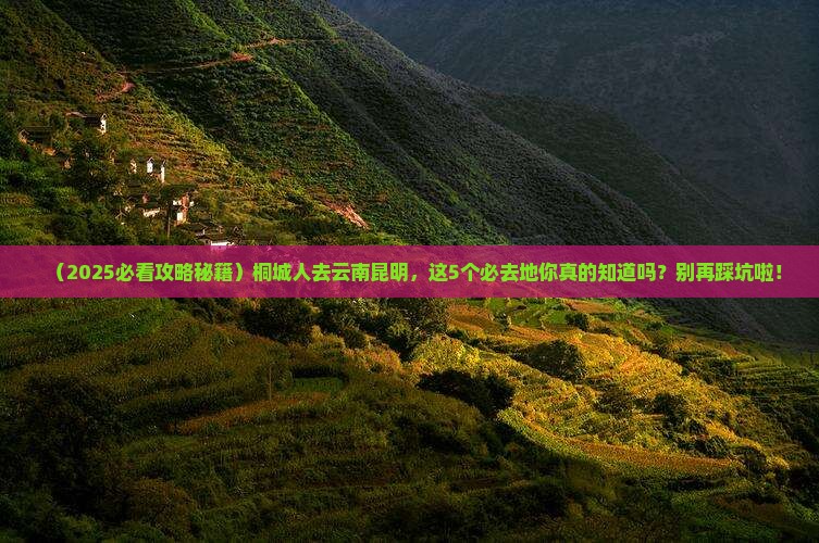桐城去云南昆明必去地