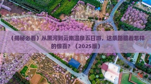 黑河去云南温泉五日游