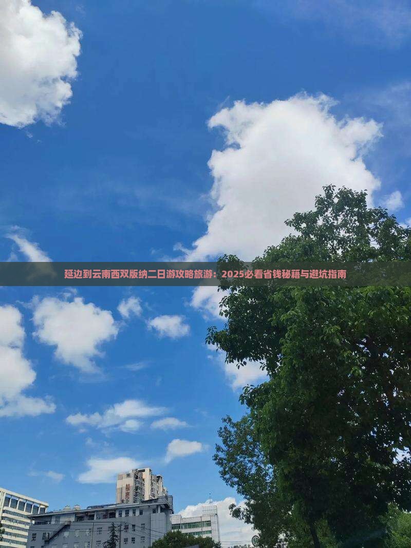 延边到云南西双版纳二日游