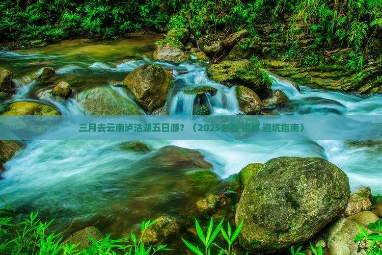 三月到云南泸沽湖五日游