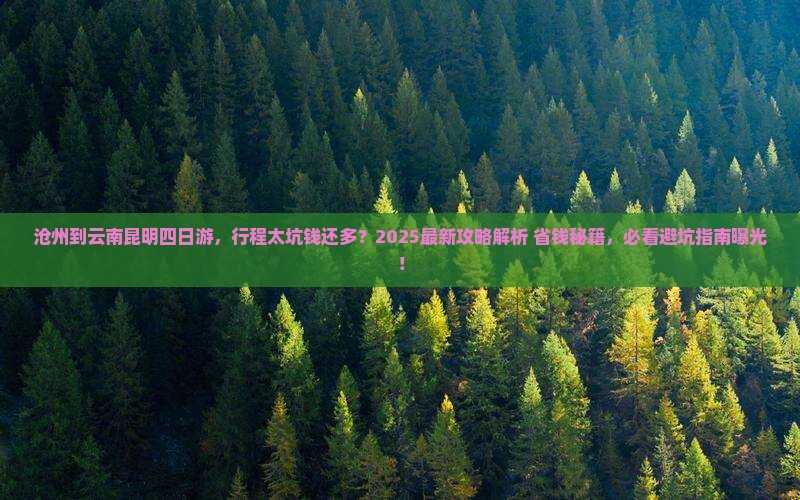 沧州到云南昆明四日游