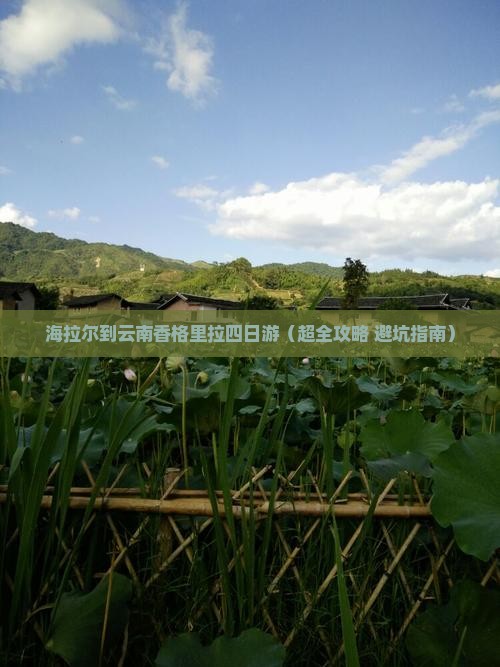 海拉尔去云南香格里拉四日游