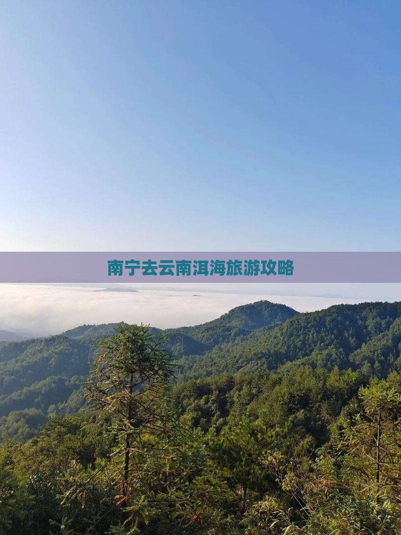 南宁去云南洱海旅游