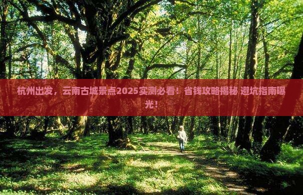杭州到云南古城景点