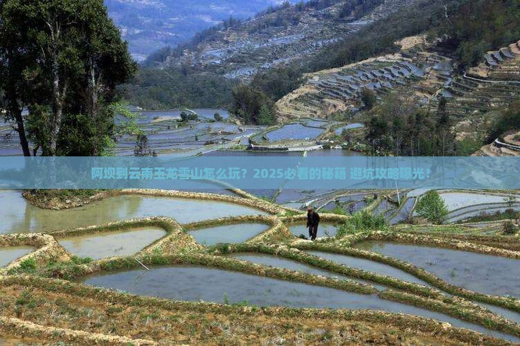 阿坝到云南玉龙雪山旅游