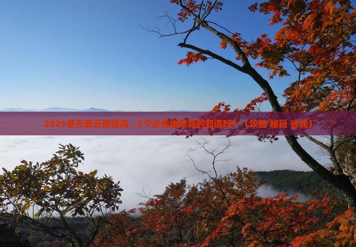 冬天去云南洱海必去地 冬天去云南洱海必去地