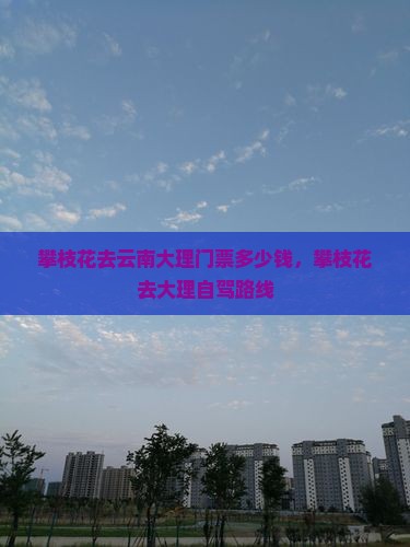攀枝花去云南大理门票