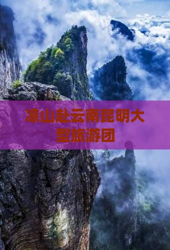 凉山去云南昆明大型旅游团