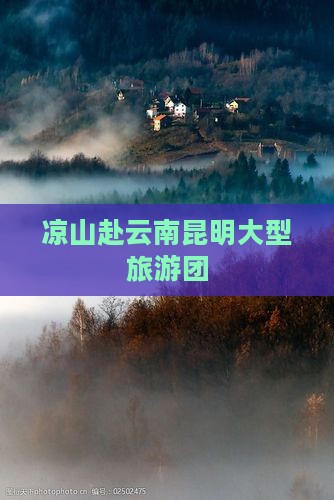 凉山去云南昆明大型旅游团