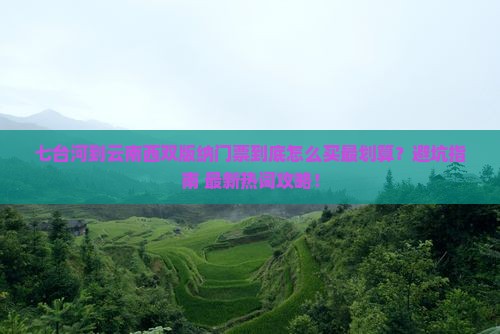 七台河到云南西双版纳门票