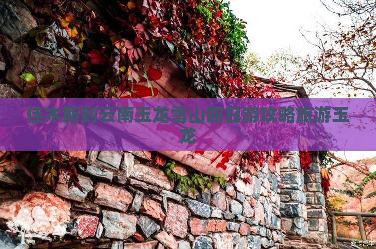 佳木斯到云南玉龙雪山四日游