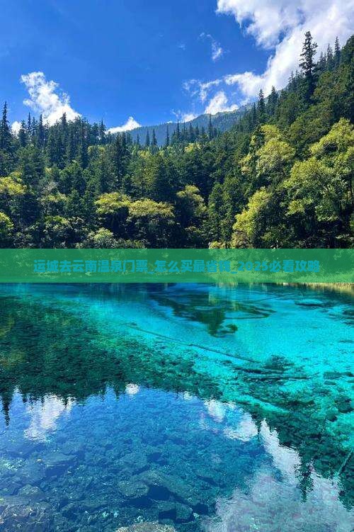 运城去云南温泉门票