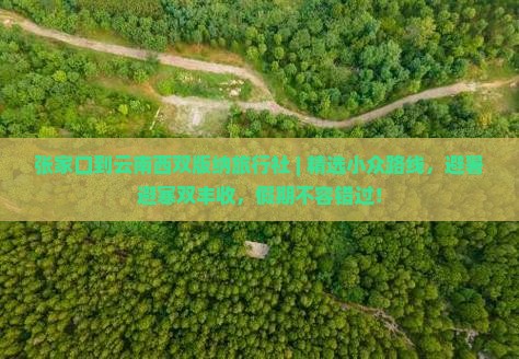 张家口到云南西双版纳旅行社