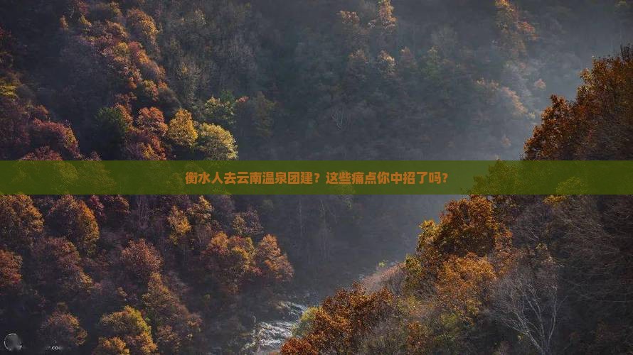 衡水去云南温泉团体旅游