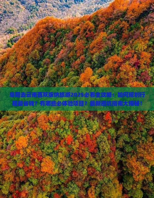 阜阳去云南西双版纳旅游
