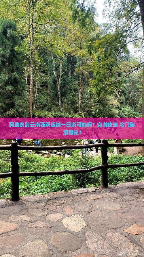 阿勒泰到云南西双版纳一日