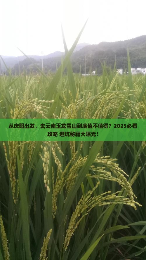 庆阳去云南玉龙雪山旅游