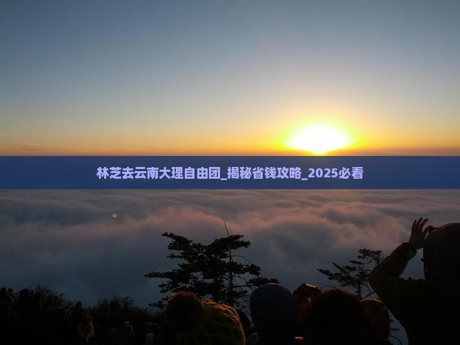 林芝去云南大理自由团