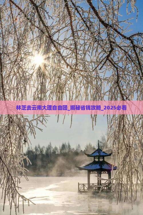林芝去云南大理自由团