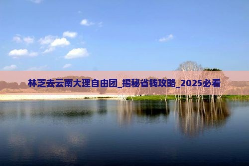 林芝去云南大理自由团
