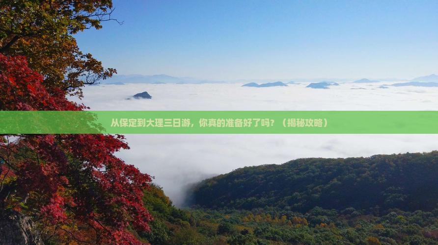 保定到云南大理三日游