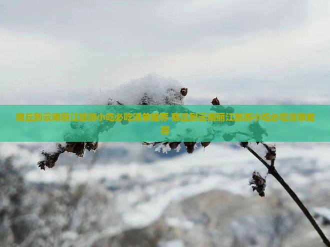 商丘到云南丽江旅游小吃