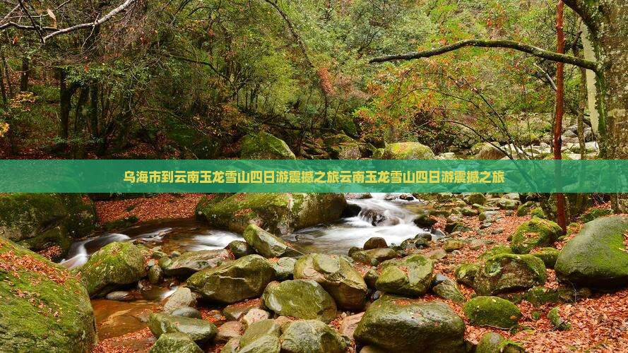 乌海市到云南玉龙雪山四日游