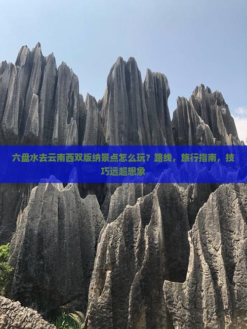 六盘水去云南西双版纳景点