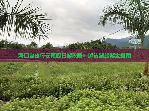 海口去云南泸沽湖四日游