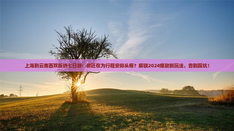 上海到云南西双版纳七日游