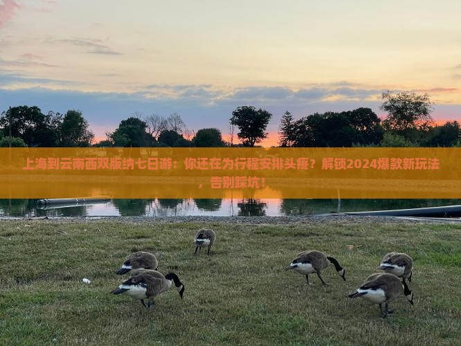 上海到云南西双版纳七日游