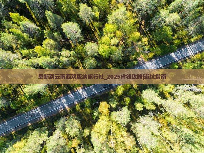 阜新到云南西双版纳旅行社