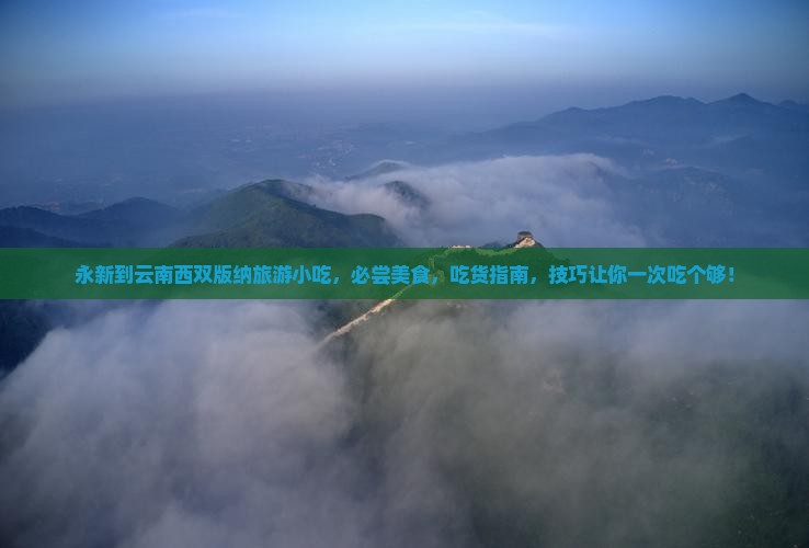 永新到云南西双版纳旅游小吃